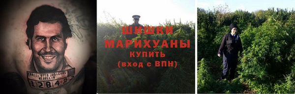 прущие грибы Беломорск