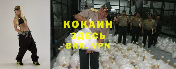 сатива Балахна