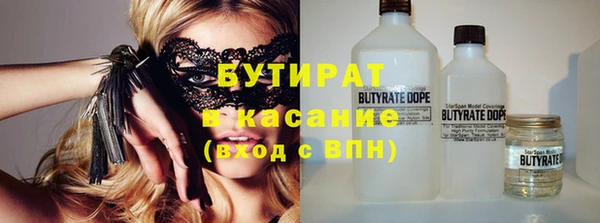 сатива Балахна