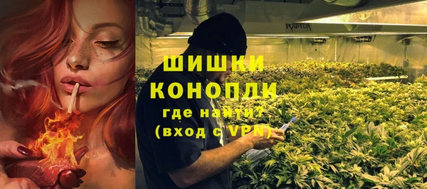 ПСИЛОЦИБИНОВЫЕ ГРИБЫ Баксан