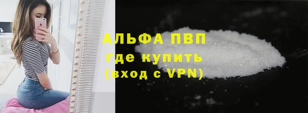 сатива Балахна