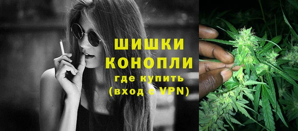 сатива Балахна